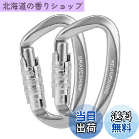 【送料無料】BRAVESHINE カラビナ 12KN オートロック式 耐荷重1200kg 2個セット (シルバー)
