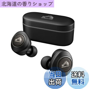�y���������zJVC�P���E�b�h Victor HA-FW1000T ���C�����X�C���z�� Bluetooth �m�C�Y�L�����Z�����O WOOD�V���[�Y �ő�27h�Đ� �O����荞�� �؂̐U���̗p �}�C�N�t�� �h��