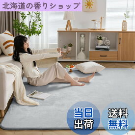 【送料無料】Keusnix ラグ カーペット 高反発 ラグマット 極厚25mm 絨毯 厚手 200x250cm 3畳 滑り止め付 抗菌・防ダニ加工 オールシーズン快適 リビングマット ふわっと手触り じゅうたん こたつマット 床暖房・ホットカーペット対応 グレー