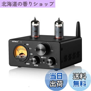 �y���������zAIYIMA T9 Bluetooth 5.0 100W*2�`���[�u�A���v 2.0�`�����l�� �^��� USB DAC�X�e���IHiFi�z�[���I�[�f�B�I�f�W�^���A���v RCA/COA/Opt/PC-USB�AVU���[�^�t��