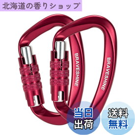 【送料無料】BRAVESHINE カラビナ 12KN オートロック式 耐荷重1200kg 2個セット (レッド)