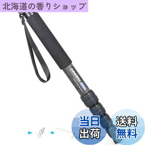�y���������zINNOREL ��r �J�����p �J�[�{���� 26lb/12kg�ω׏d 5�Z�N�V�����L�k�\ �R���p�N�g �֗� �y�� ���s�p�iRM325C�j