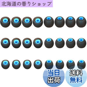 �y���������zA-Pcas �C���[�s�[�X �C���[�`�b�v ���a�_�C����3.8mm-4.5mm�J�i���^�C���z�� �����p Ja�]bra Sport Pace�pSO-NY�p wi-c310�p mdr�V���[�Y�J�i���^�C���z���p xba�V���[�Y�J�i���^�C���z���p 2