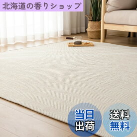 【送料無料】OIGAE ラグ カーペット 春 夏 190x190cm 2畳 ラグマット ヘリンボン柄 北欧 じゅうたん 無地調 幾何学模様 床保護 防音 リビング 滑り止め オールシーズン適用 安心素材 アイボリー