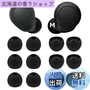 �y���������zA-Pcas �C���[�s�[�X Sony�p�C���[�s�[�X WF-C700n�p�C���[�s�[�X WF-C500 �p WF-1000XM4�p WF-1000XM3�p ���K �t�B�b�g�� ���������� ���K ���􂢉\ �V���R���� �y�u���b�N M�T�C�Y 6�y�A�z(