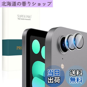 �y���������zPRODELI For iPad (A16) 11���� 2025 /Air 11/13 M3 2025 ��7���� ��p �J�����t�B���� mini7 (2024)/mini6 (2021)/Air 6/5/4/iPad 10(2022) �p �����Y�t�B���� �A���~�������{AR���������K���X ��7/6/5/4/11/10��