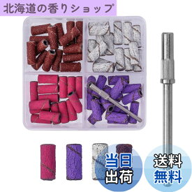 【送料無料】PAVIKE サンディングバンド ネイル ドラム研磨【 60枚セット】サンディングバンド 置換 マンドレル 研削ベアリング付き ネイルドリル用サンディングバンド DIY、ネイルアート、工業用彫刻などに適しています