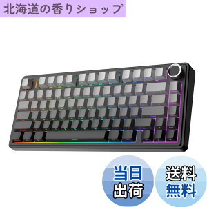 �y���������zEPOMAKER x Aula F75 �Q�[�~���O�L�[�{�[�h �K�X�P�b�g ���J�j�J���L�[�{�[�h 5�w�p�b�h���m�u�t�� 75% ���C�����X