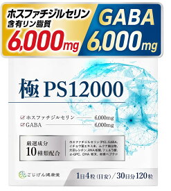 【送料無料】ホスファチジルセリン サプリ GABA 【厳選成分10種類x30日分120粒x国内製造】[ごじげん健康堂] サイズ：1袋