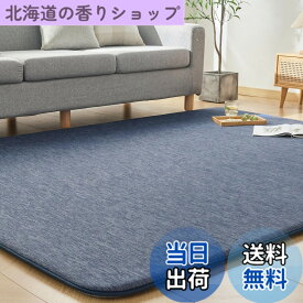 【送料無料】VK Ingeroom カーペット 夏用 極厚30mm 冷感ラグ 厚手 接触冷感 【ひんやりxもっちり】 涼しい 色：ネイビー、サイズ：190x190cm
