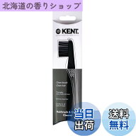 【送料無料】G.B.KENT ヘアブラシ用 クリーニングブラシ ブラック LPC3 色：ブラック
