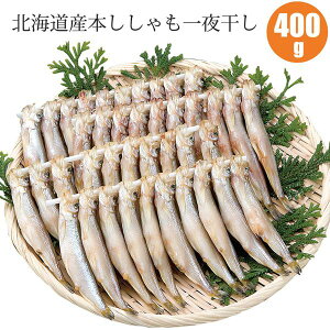 kC { 銱 400g { X40 CNMtg  kC VV kC {