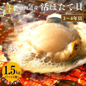 活ホタテ（3～4年貝）1.5kg（7～11枚） 【冷蔵】 帆立 ほたて ホタテ