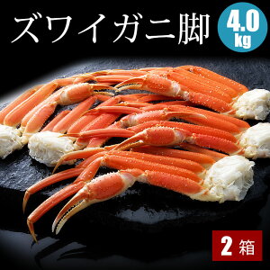 YCKjr 2kg×2 Jj Ⓚ  Zbg Jj CNMtg IMtg