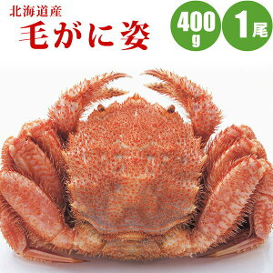 уKj 400g × 1 kC Jj {CⓀ ъI I IMtg CNMtg
