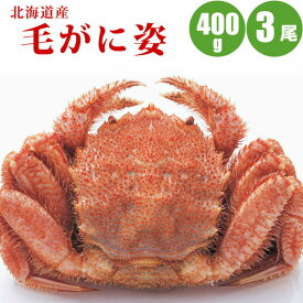 毛ガニ 400g × 3尾 北海道 カニ ボイル冷凍 毛蟹 蟹 蟹ギフト 海鮮ギフト