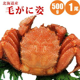 毛ガニ 500g × 1尾 北海道 カニ ボイル冷凍 毛蟹 蟹 蟹ギフト 海鮮ギフト