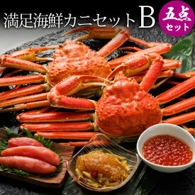 【6/11迄 10%OFF】 満足海鮮カニセットB 北海道のかに三昧 (ズワイガニ2尾+海鮮3種) カニ 蟹 蟹ギフト 海鮮