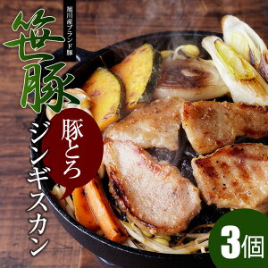 yؓ؂ƂWMXJi300gj3z Mtg ؓWMXJ kC Y gv 񂬂 t t  BBQ ē t WMXJ kC o[xL[  Ă 