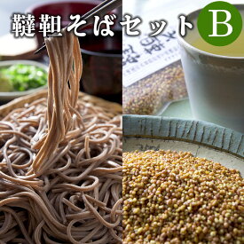 韃靼そば セットB（乾麺 そば 4食／韃靼そば茶 2袋）国産 北海道 無農薬栽培 韃靼そばセット
