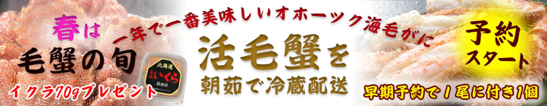 活毛蟹を朝茹で冷蔵配送！この時期だけ、美味しさが違います