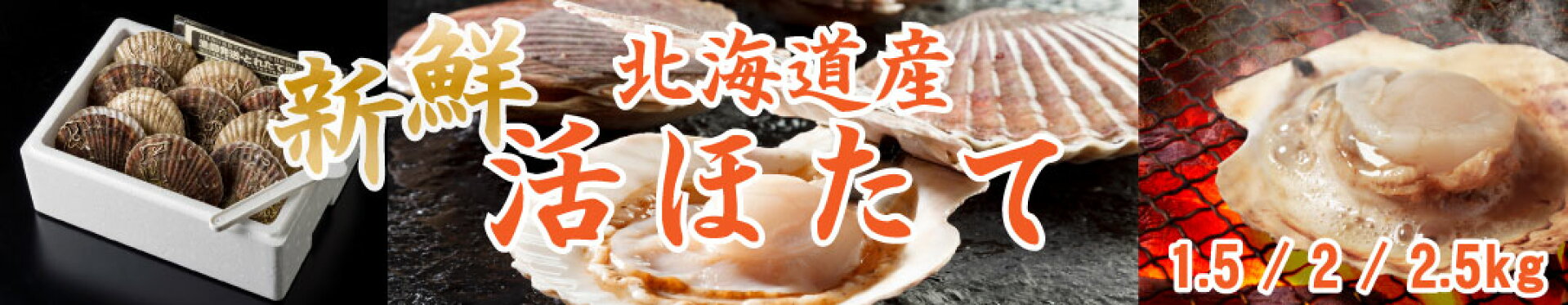 活ほたて！新鮮な活ほたてをお届けします