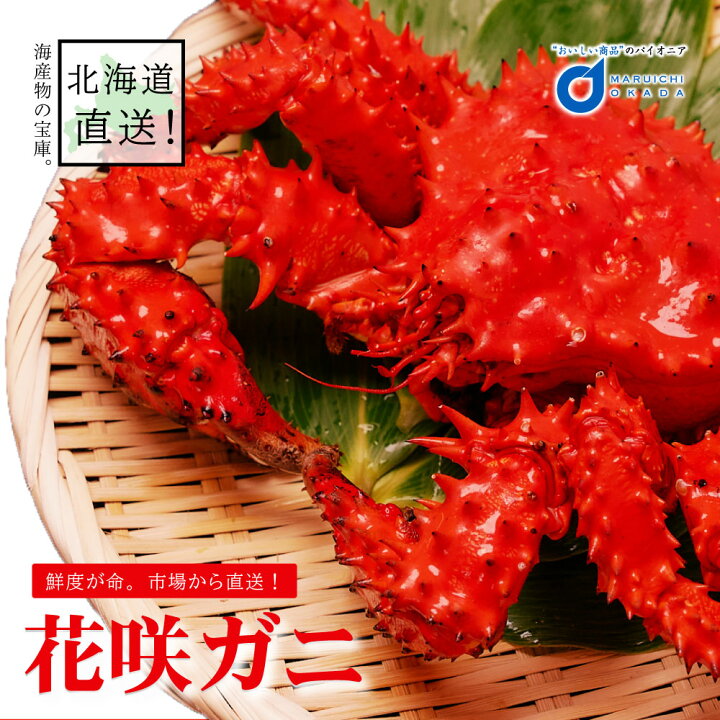 楽天市場 遅れてごめんね 父の日 送料無料 花咲ガニ 姿 1尾 850g前後 花咲蟹 北海道 はなさきがに カニ かに 海鮮ギフト かに鍋 札幌場外市場 グルメ お中元 御中元 北海道お土産ギフト岡田商店