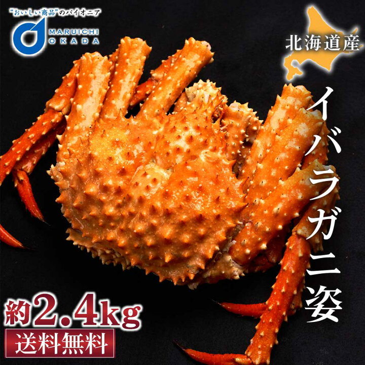 楽天市場 イバラガニ 姿 2 4kg前後 北海道産 いばらがに タラバガニ科 カニ かに 海鮮ギフト ギフト かに鍋 札幌場外市場 グルメ お中元 御中元 北海道お土産ギフト岡田商店