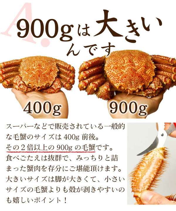 楽天市場 北海道産 毛蟹 900g 2尾セット 送料無料 かに 毛ガニ 毛がに 札幌 ボイル 海鮮グルメ お取り寄せ ギフト プレゼント お歳暮 御歳暮 北海道お土産ギフト岡田商店