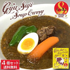 【5/30限定！ポイント5倍！】らっきょ 牛すじ スープカレー 490g(具材390g/スープ100g)×4箱セット 北海道 具材たっぷり お土産 タンゼン TANZEN 人気 有名店 父の日 プレゼント