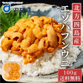 ウニ 塩水 送料無料 塩水うに 100g 北方四島産 冷蔵配送 バフン 生ウニ 雲丹 北海道 グルメ 場外市場 塩水ウニ uni 寿司 贈り物 お取り寄せ バレンタイン ホワイトデー お返し