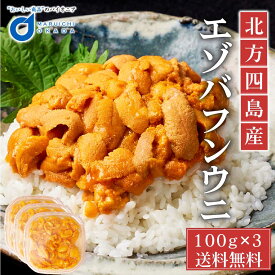 送料無料 冷蔵配送 塩水うに 100gx3パック 北方四島産 生うに バフン ウニ 生ウニ 雲丹 北海道 グルメ 場外市場 無添加 塩水パック バレンタイン ホワイトデー お返し