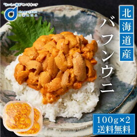 ウニ 塩水 送料無料 北海道産 バフンウニ うに 100g 2個セット 冷蔵 バフン 生ウニ 雲丹 北海道 グルメ 塩水ウニ 寿司 贈り物 バレンタイン ホワイトデー お返し