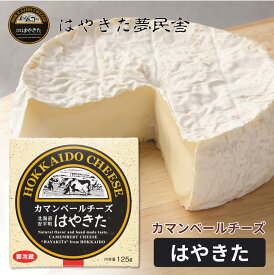 夢民舎 カマンベールチーズ はやきた 125g 北海道限定 カマンベールチーズ ワイン ギフト ナチュラルチーズコンテスト 母の日 プレゼント