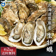 北海道厚岸産 生牡蠣 約2kg 生カキ 牡蠣 カキ かき 貝付き牡蠣 殻付き牡蠣 貝 海鮮 魚介類 北海道産 厚岸…