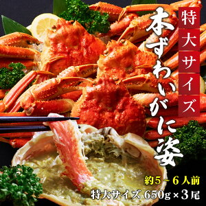 {YCKj p 650g 3Zbg  YCI 킢 킢I Jj  CN Mtg Dys O I 킢 킢 킢I YC YCKj IX JjX C