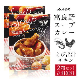 【5/30限定！ポイント2倍！】富良野 スープカレー えび出汁チキン 260g × 2箱セット JAふらの 鶏手羽元 具入 レトルト ふらの農業協同組合 ギフト 北海道限定 父の日 プレゼント