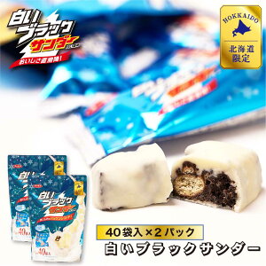 Ly ubNT_[ 40ܓ × 2Zbg _ v`Mtg Ԍ `R[g َq XC[c kC yY  nEB Ε ~Mtg