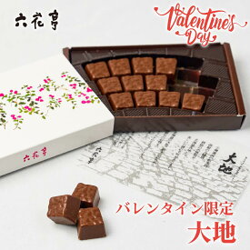 六花亭 バレンタイン限定 大地 だいち 14個入 メール便 送料無料 セミスィート 生チョコ チョコレート ギフト プレゼント バレンタイン ホワイトデー お返し