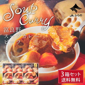 富良野 スープカレー ビーフ 260g × 3箱セット 送料無料 JAふらの カレー 国産 牛肉 野菜 具入 レトルト ふらの農業協同組合 ギフト 北海道限定 母の日 プレゼント