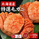 毛ガニ 毛蟹 北海道産 ギフト 450g×2尾セット 送料無料 かに 毛がに 札幌 ボイル 堅蟹 カタガニ かたがに ケガニ カニ お祝い 母の日 お年賀 プレゼント 場外市場 【冷凍】 お取り寄せ 人気
