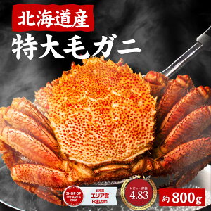 kCY ъI уKj  т 800g  Dy Os {C CNO  Mtg v[g Ε ~Mtg