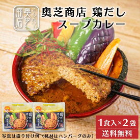 奥芝商店 鶏だしスープカレー【1人前 300g】× 2袋セット ハンバーグ 冷凍カレー 冷凍 北海道 札幌 とり 出汁 レンジ 簡単 お土産 プレゼント 敬老の日 夏ギフト お中元 御中元