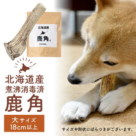鹿角 犬 エゾシカ 北海道 大サイズ（超大型〜大型犬に）18cm以上 北海道産 天然 無添加 蝦夷鹿の角 デンタルケア おもちゃ 父の日 ギフト プレゼント 人気 【パケ大】 お取り寄せ