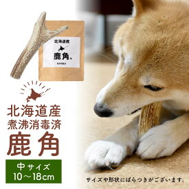 鹿角 犬 エゾシカ 北海道 中サイズ（小型犬〜中型犬に）10〜18cm 北海道産 天然 無添加 蝦夷鹿の角 デンタルケア おもちゃ 父の日 ギフト プレゼント 人気 【パケ大】 お取り寄せ