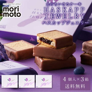 nXJbvWG[ 4 × 3Zbg   morimoto nXJbv  2025 Mtg v`Mtg   XC[c َq mَq a j ސE j ]  