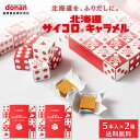 【ポイント5倍★8/11 1:59まで】北海道 サイコロ キャラメル 5本入x2箱セット メール便 送料込セット 道南食品 送料無…