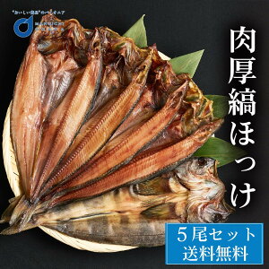 ق Ȃق 500gOx5 kC ق J zbP  kC Os꒼ Mtg ܂ Hi @ v[g nEB Ε ~Mtg