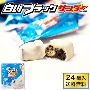 Ly ubNT_[ y24ܓ × 1z  _ Mtg `R[g َq XC[c kC yY  nEB Ε ~Mtg