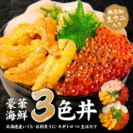 ウニいくらセット 海鮮丼セット うに いくら セット 北海道 海鮮 三色丼 海鮮丼セット 3色丼 海鮮 ギフト 刺身 冷凍 ネギトロ 海鮮 ウニ イクラ 送料無料 内祝い お返し 誕生日 マグロ いくら 醤油漬け うに 雲丹 寒中見舞 御歳暮 おせいぼ 冬ギフト